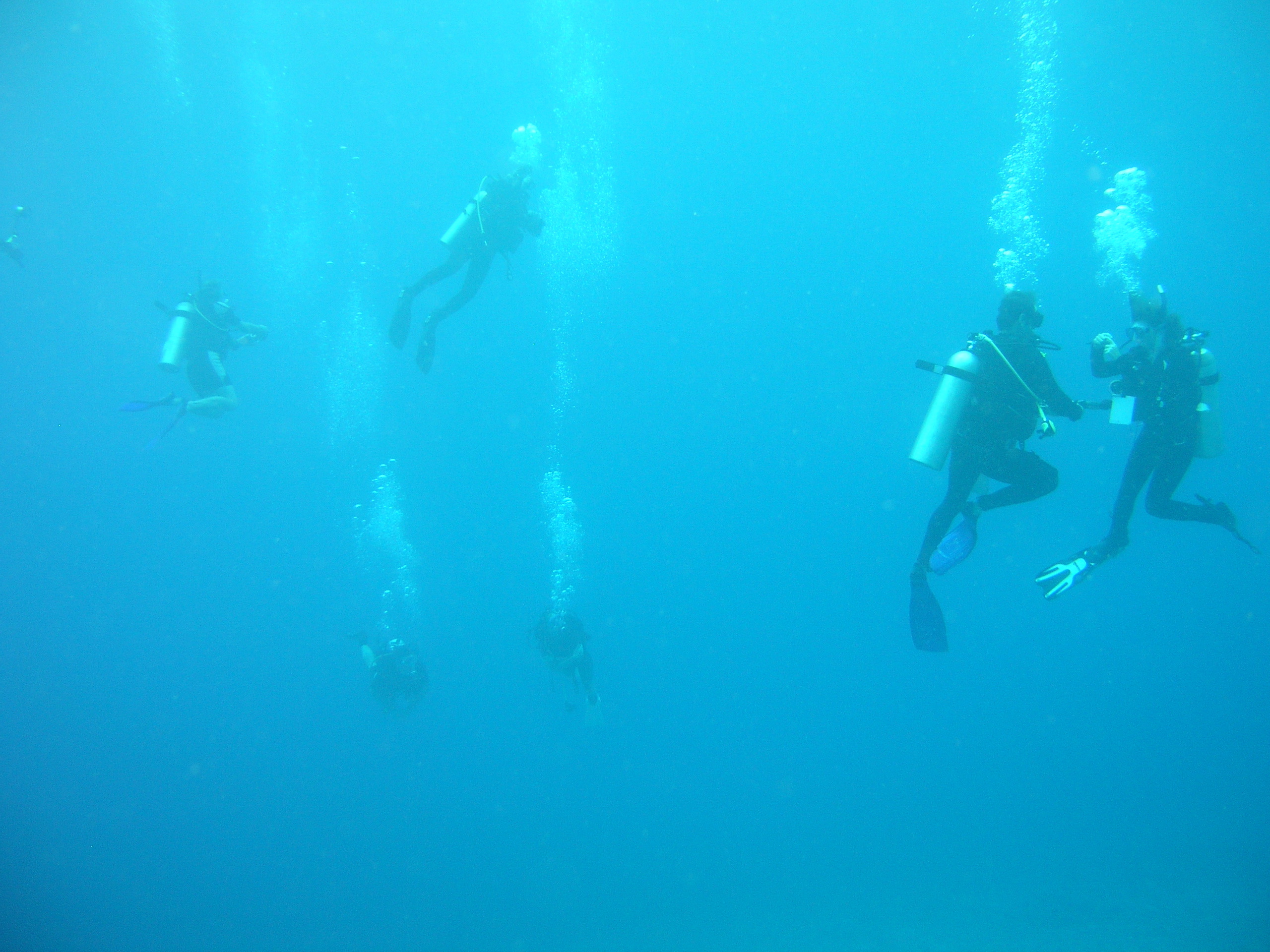 2005-12-05-Dive 2 - 46