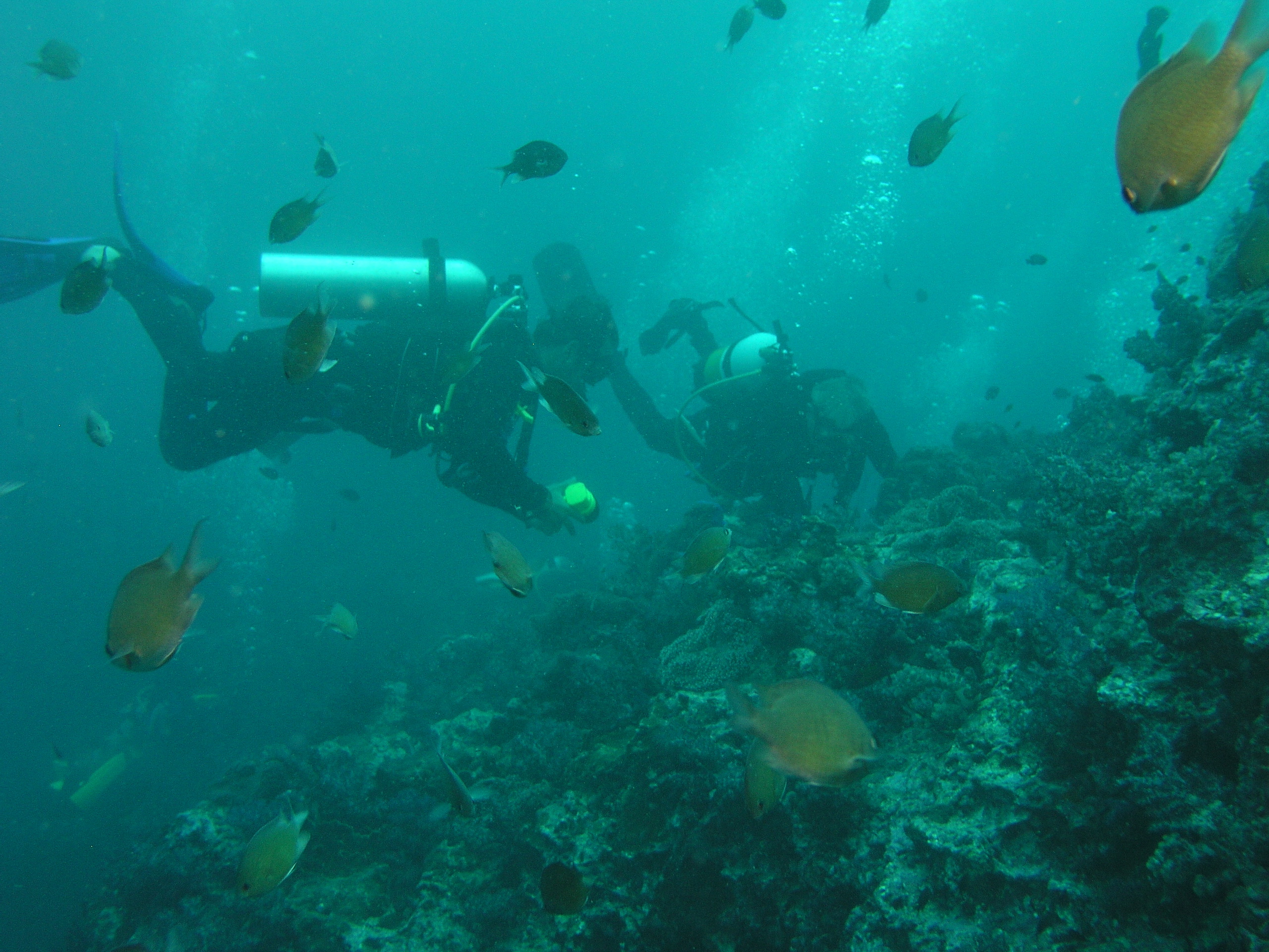 2005-12-04-Dive 1 - 49