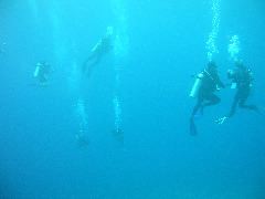 2005-12-05-Dive 2 - 46